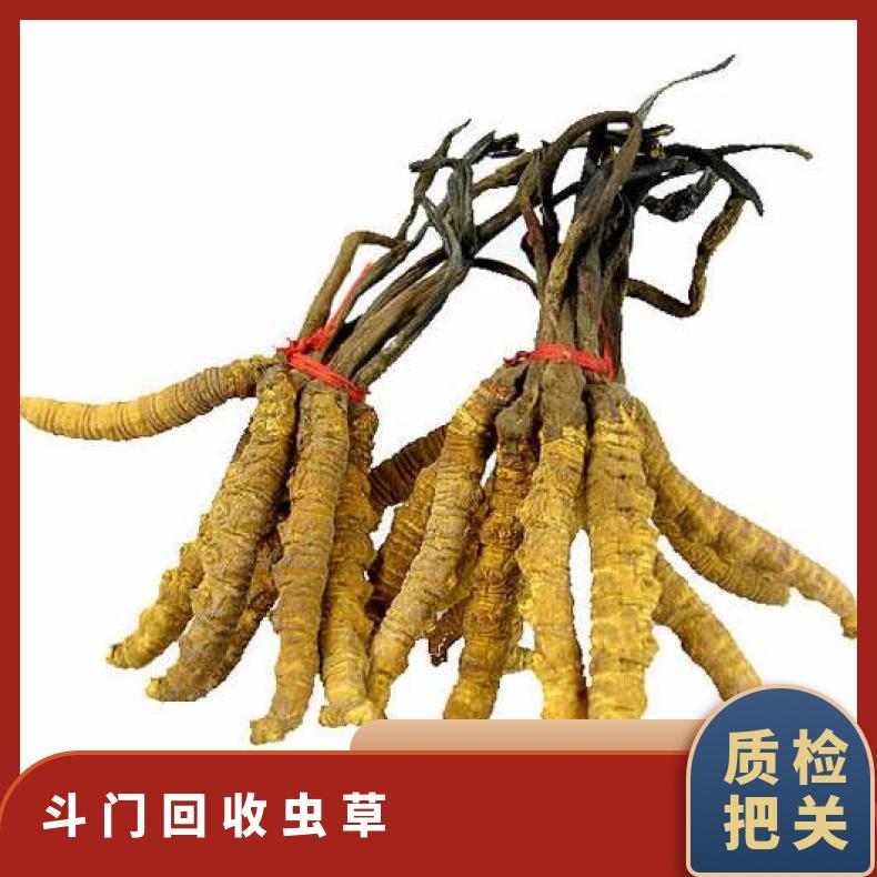 回收虫草上门电话 广粤商行高价收购冬虫夏草燕窝礼盒装
