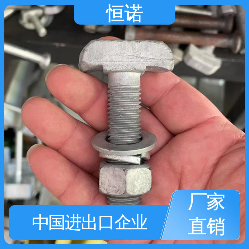 厂家供应 地铁预埋槽道T型螺栓 批发零售 规格齐全 恒诺