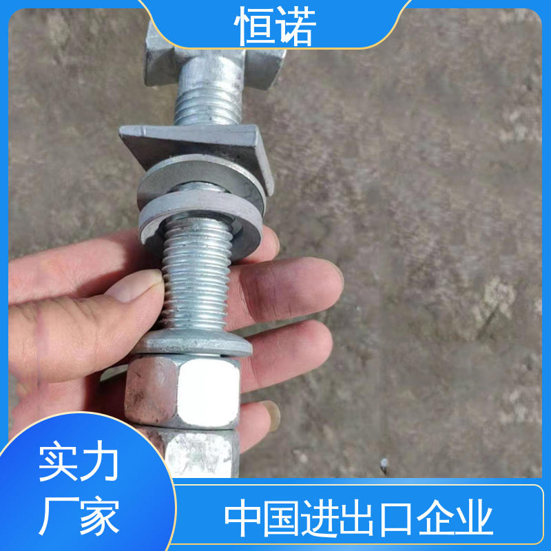 防腐金属制品 厂家供应 可寄样品 管廊托臂支架T型螺栓 恒诺