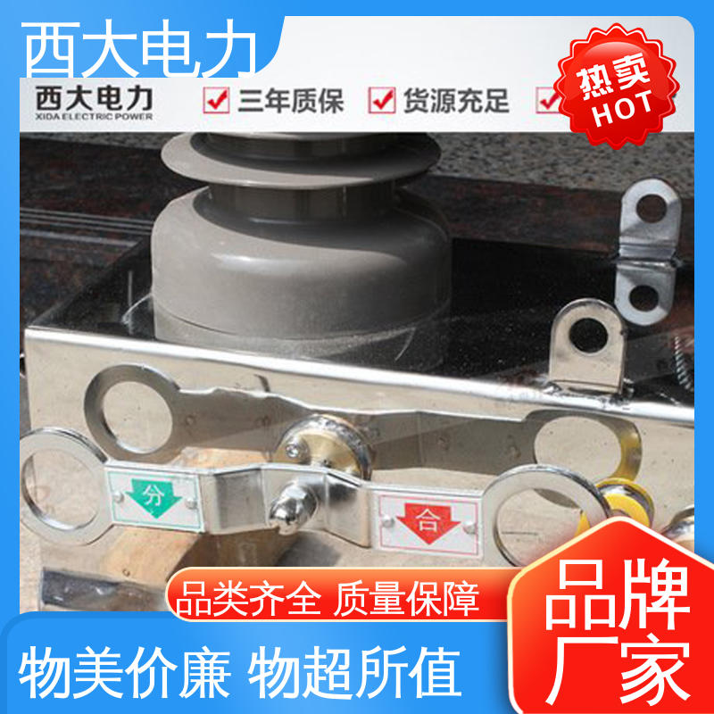 西大电力 柱上真空断路器 ZW32-24F 安全稳定 支持定制