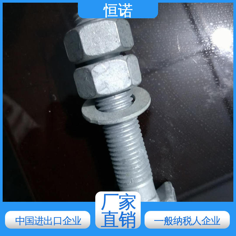 恒诺 订做异型件 防腐金属制品 发货及时 哈芬槽T型螺栓8.8级