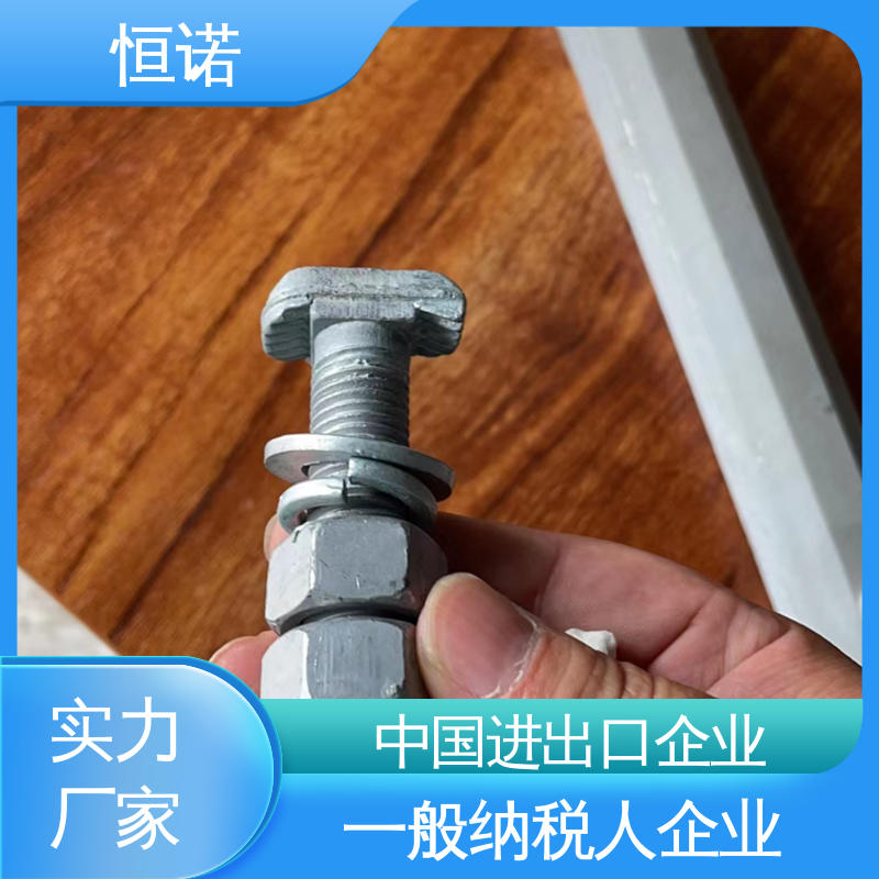 地铁预埋槽道T型螺栓 质量保障 按需定制 防腐金属制品 恒诺