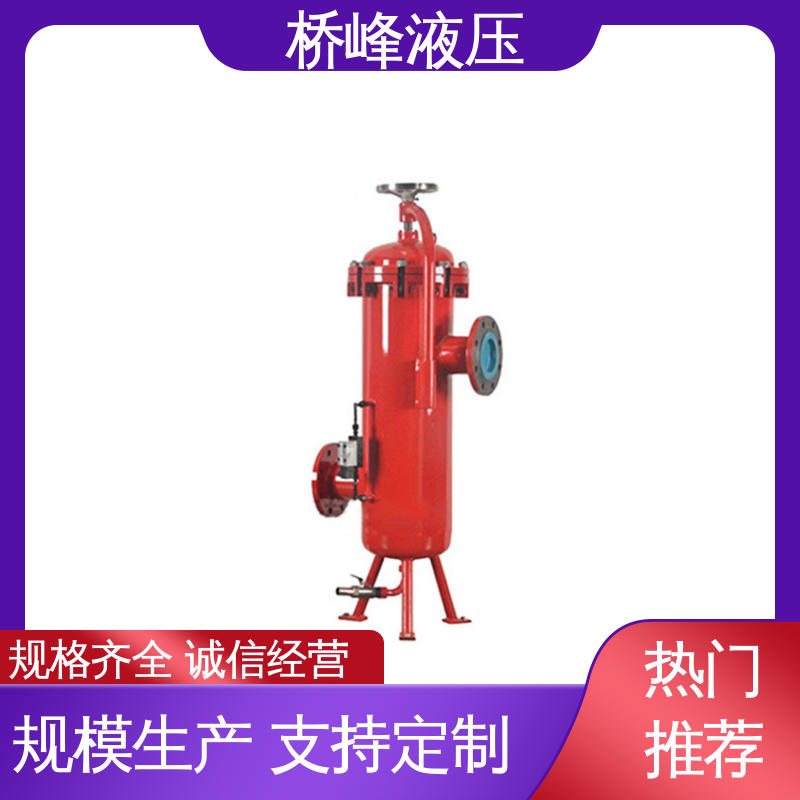 大流量双筒过滤器 性能可靠 品质优良 规格齐全 桥峰
