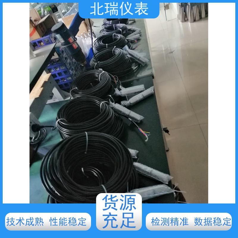 北瑞仪表 静压式水位计 抗干扰能力强 防护等级高 严选原材 品质放心