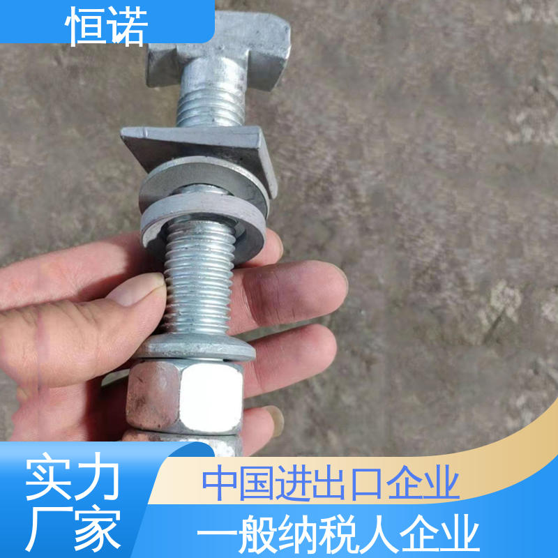 恒诺 品质保证 热镀锌预埋槽道T型螺栓 发货及时 订做异型件