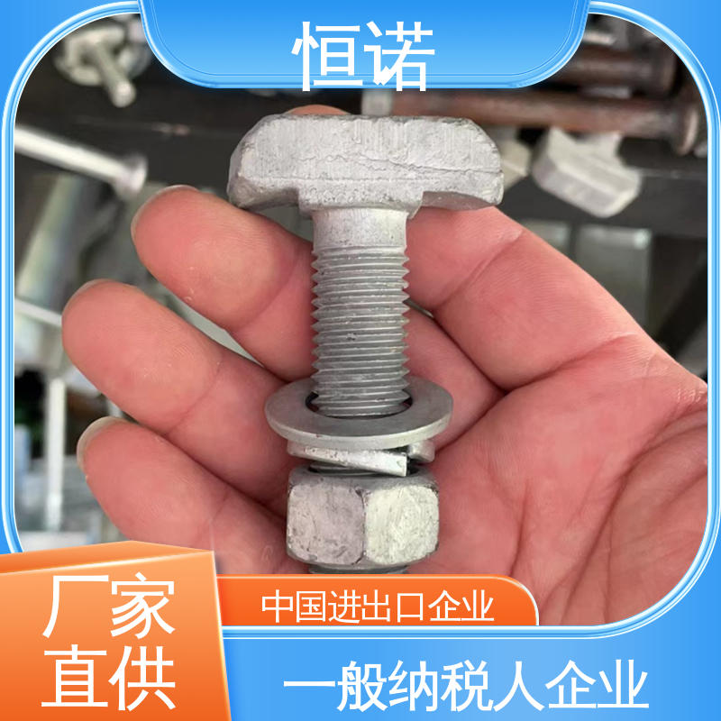 品质保证 发货及时 订做异型件 管廊托臂T型螺栓 恒诺