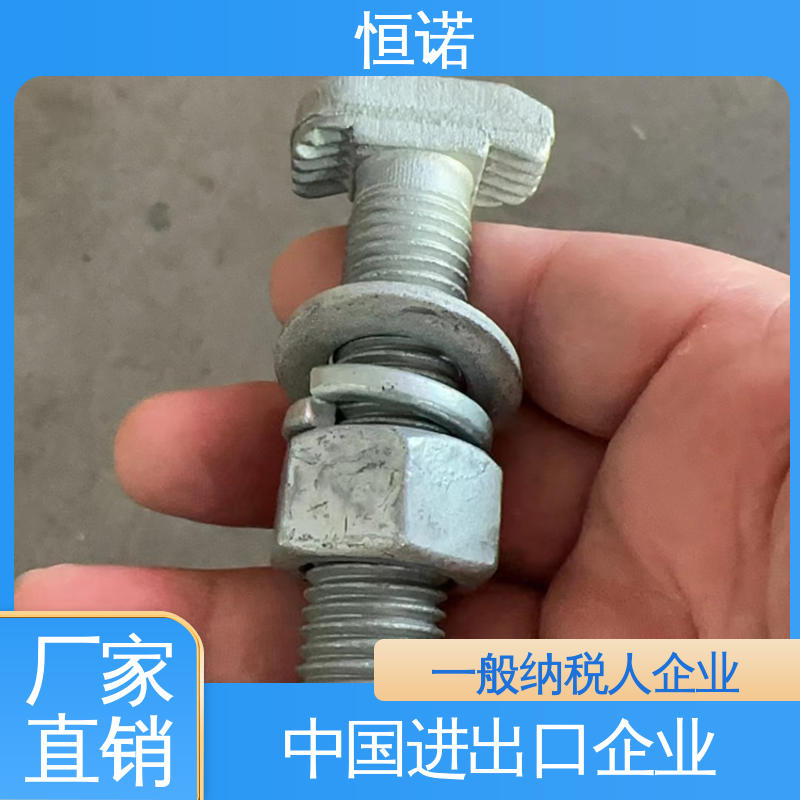 高强度预埋槽T型螺栓 可寄样品 品质保证 发货及时 恒诺