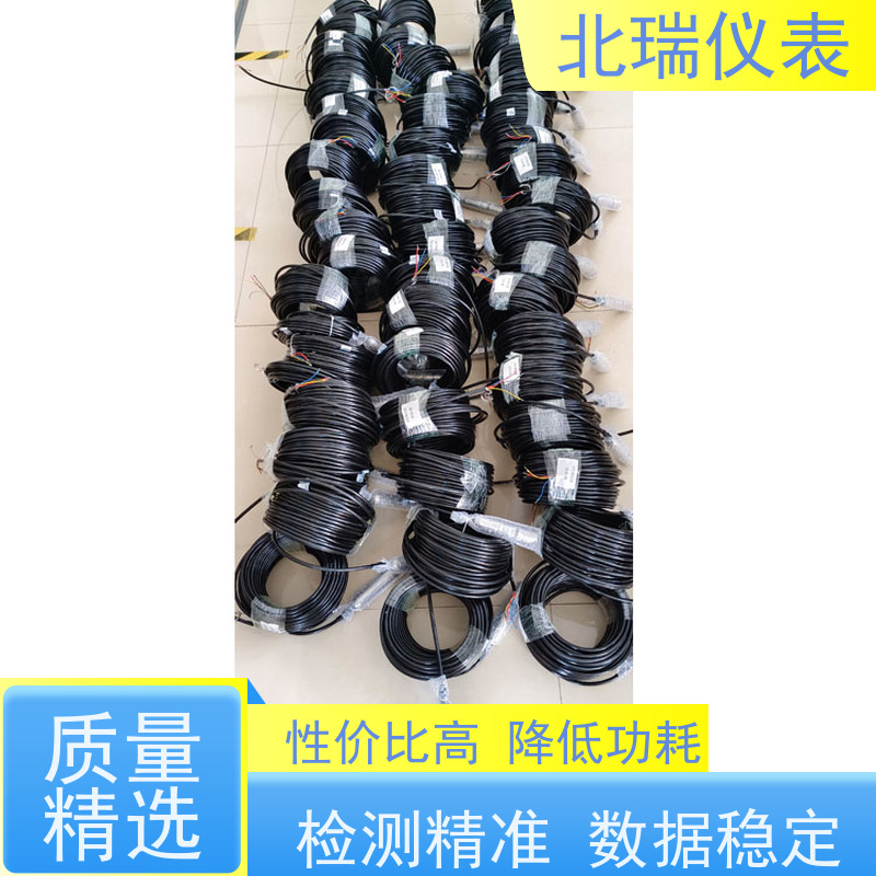 北瑞仪表 技术成熟 性能稳定 多规格可选 库存充足 RS458水位计