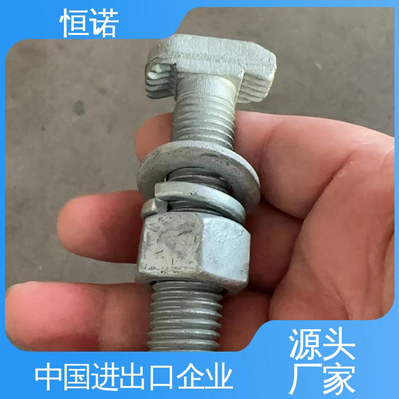 来图定做 热镀锌预埋槽道T型螺栓 规格齐全 质量保障 恒诺