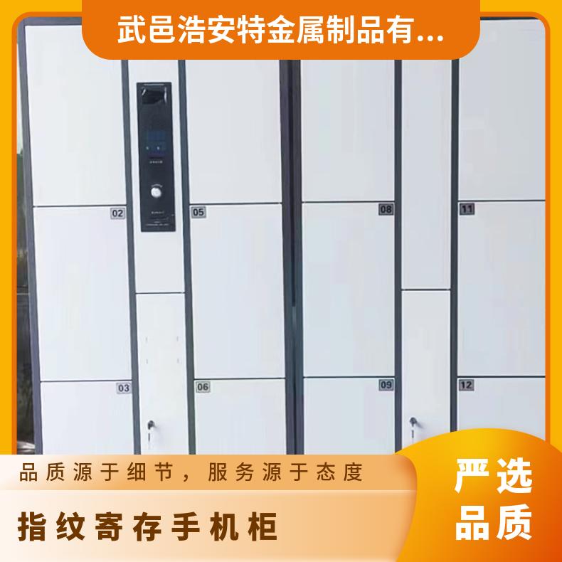 金属柜 智能条码 全新 电子式存包柜 指纹寄存手机生产厂家