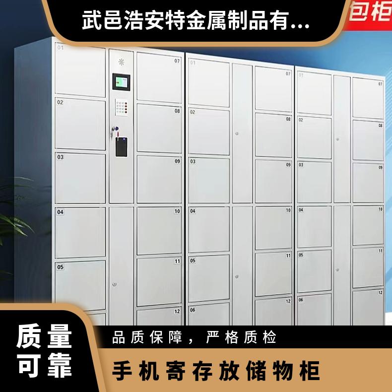 手机寄存放储物柜 定制 办公单位 浩安特金属 多选存包柜厂家
