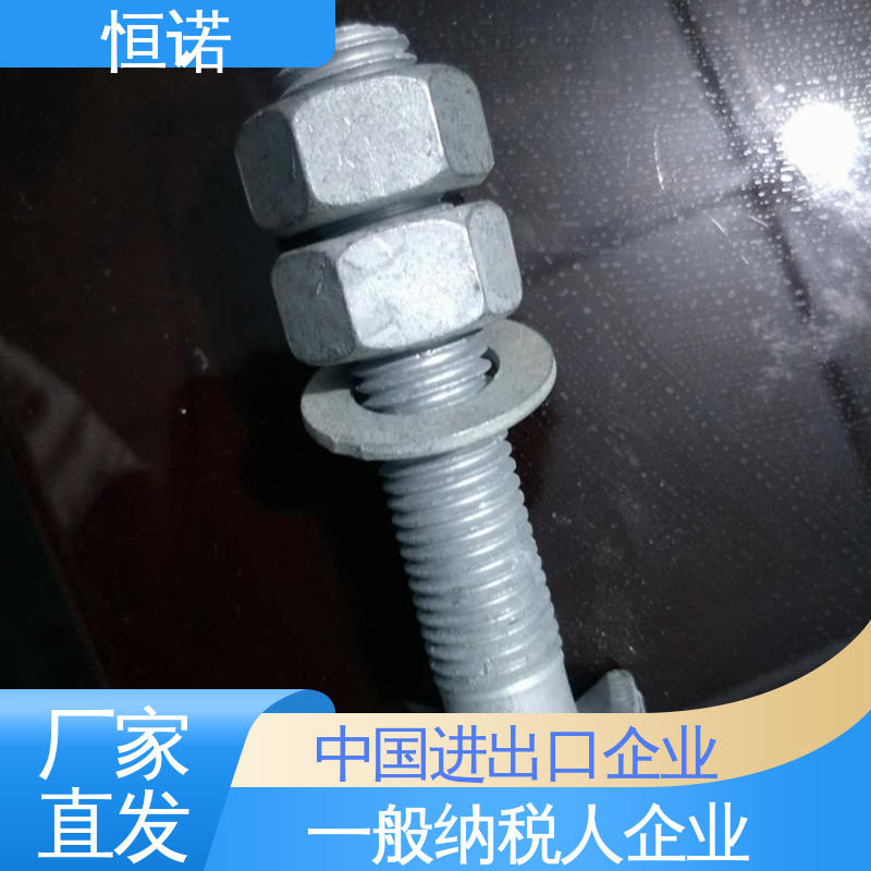 恒诺 防腐金属制品 订做异型件 发货及时 幕墙T型螺栓