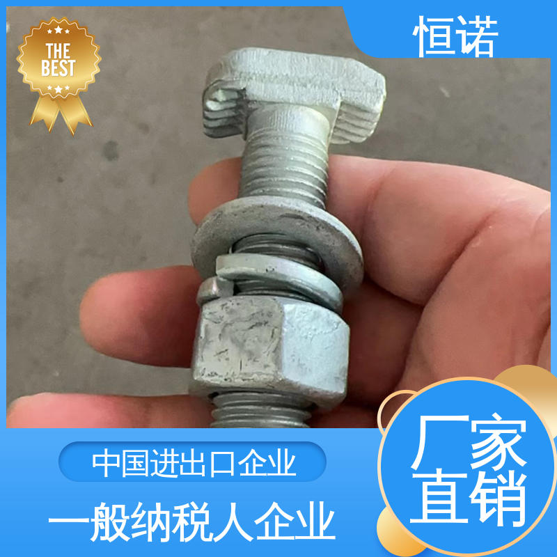 恒诺 热镀锌哈芬槽T型螺栓 厂家供应 可寄样品 防腐金属制品