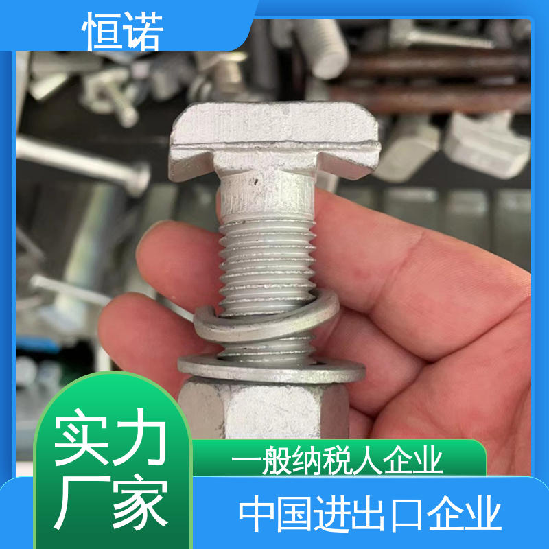 恒诺 大量现货 质量保障 管廊支架配件T型螺栓 订做异型件