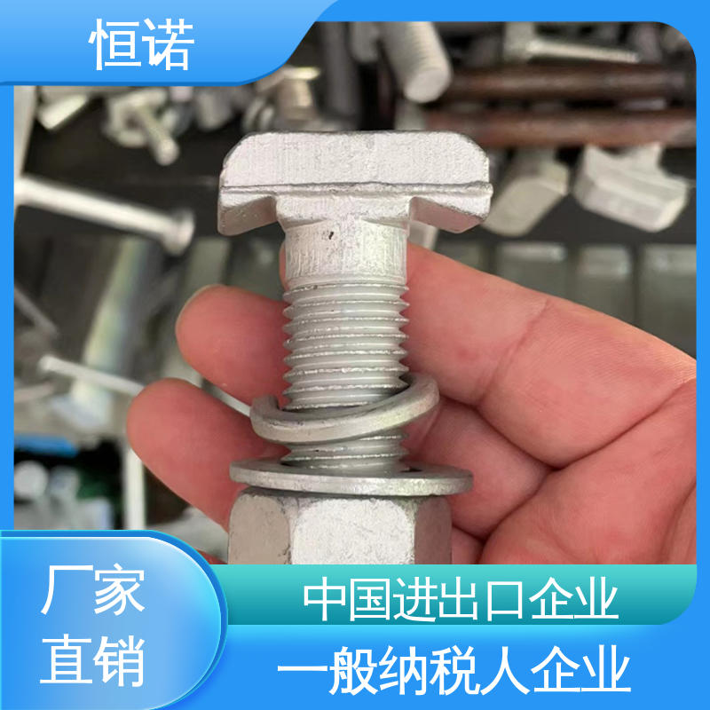 恒诺 防腐性好 按需定制 质量保障 高强度预埋槽T型螺栓