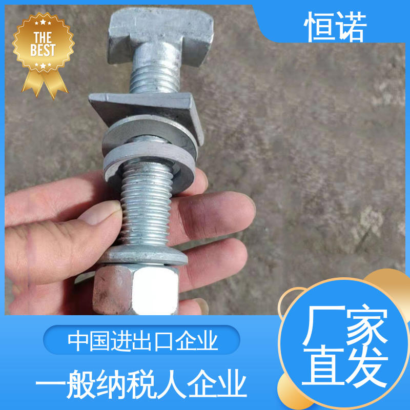 恒诺 按需定制 防腐性好 质量保障 地铁预埋槽道T型螺栓