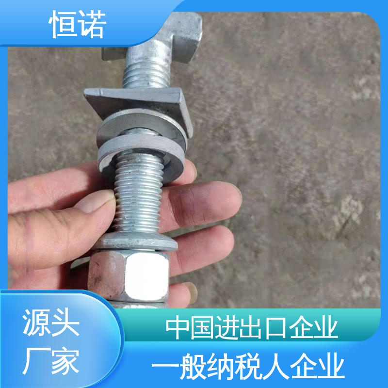 恒诺 实体厂家 防腐金属制品 图纸定做 幕墙T型螺栓