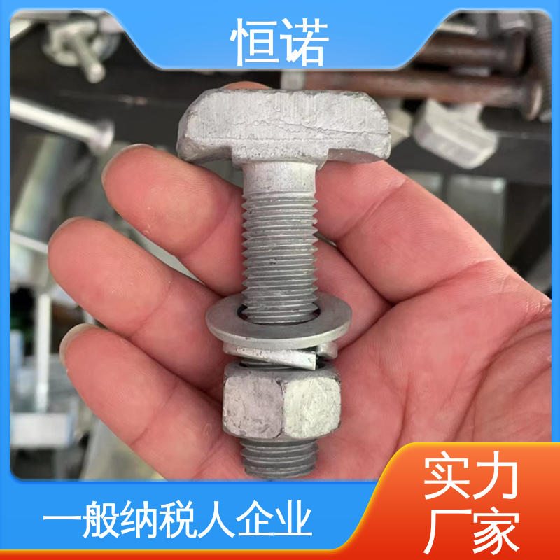 恒诺 防腐性好 支持异形件定制 哈芬槽道不锈钢T型螺栓 质量保障