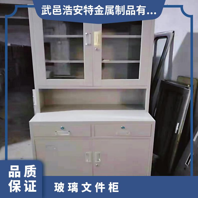 玻璃文件柜 办公 对开门 浩安特定制 现代 简约 铁皮资料柜子厂家