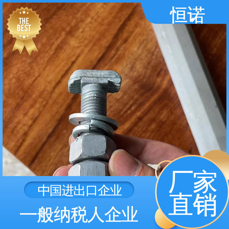 实体厂家 防腐金属制品 地铁预埋槽道T型螺栓 订做异型件 恒诺