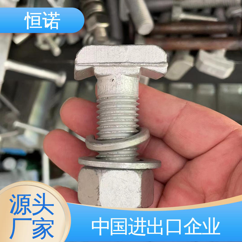 恒诺 订做异型件 地铁哈芬槽用T型螺栓 防腐金属制品 厂家供应