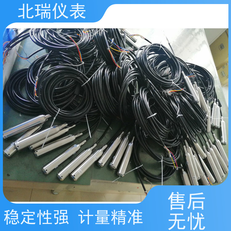 北瑞仪表 抗干扰能力强 防护等级高 售后无忧 诚信经营 投入式水位计