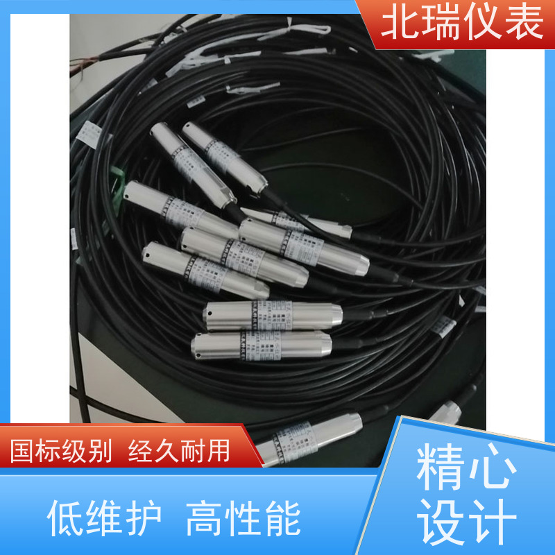 北瑞仪表 水库水温计 使用安全 性价比高 防水等级 IP68