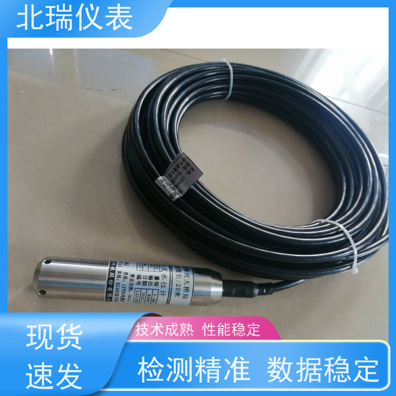 北瑞仪表 高精度压力式水位计 使用寿命长 测量稳定 厂家供应 售后无忧