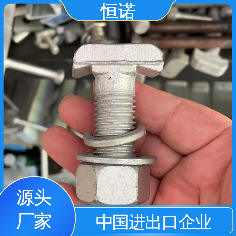 发货及时 来图定做 坚固耐用 哈芬槽道不锈钢T型螺栓 恒诺