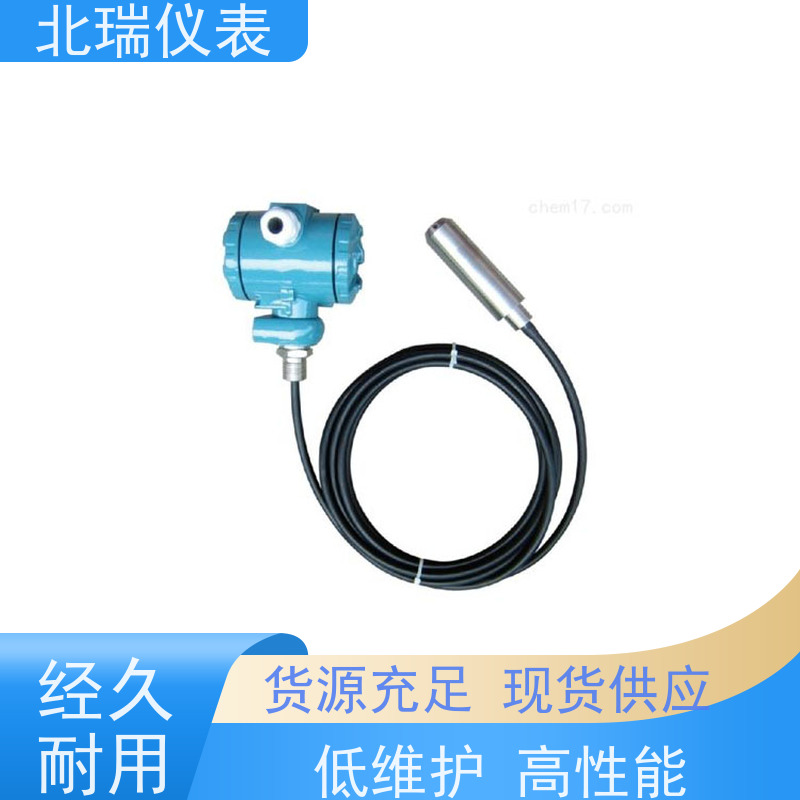 北瑞仪表 RS485输出水温计 厂家供应 售后无忧 防水等级 IP68
