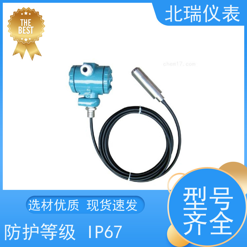 北瑞仪表 安装维护方便 严选原材 品质放心 投入式水位计