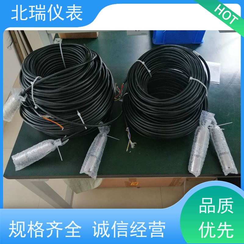 北瑞仪表 投入式水温计 严选原材 品质放心 准确度高 牢固耐用 