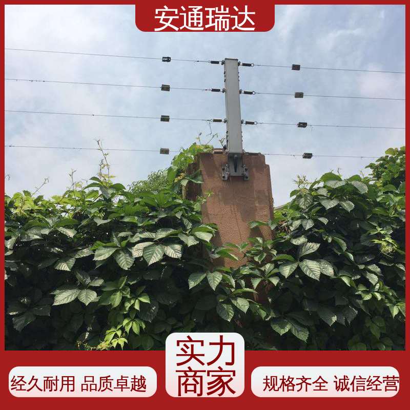 双防区张力电子围栏 化工园区围墙 全套配件 24小时服务 安通瑞达生产