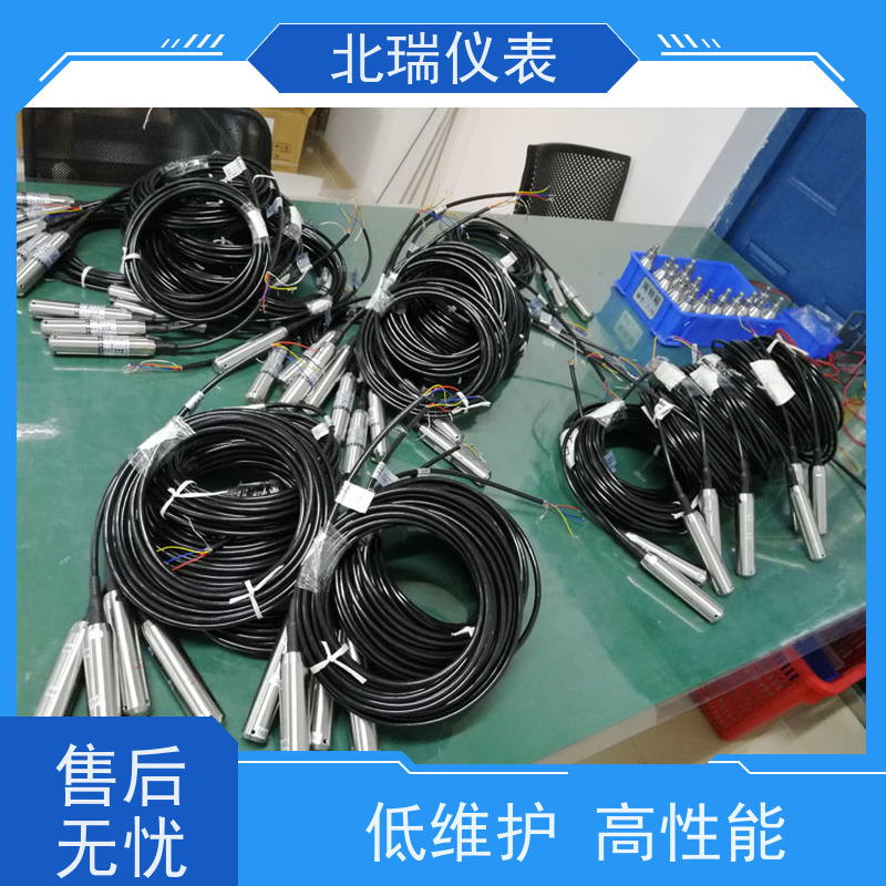 北瑞仪表 地下水水温计 使用安全 性价比高 防水等级 IP68