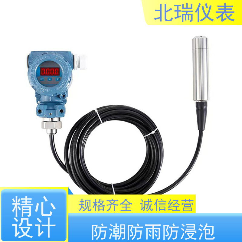 北瑞仪表 水库水温计 厂家供应 售后无忧 防潮防雨防浸泡