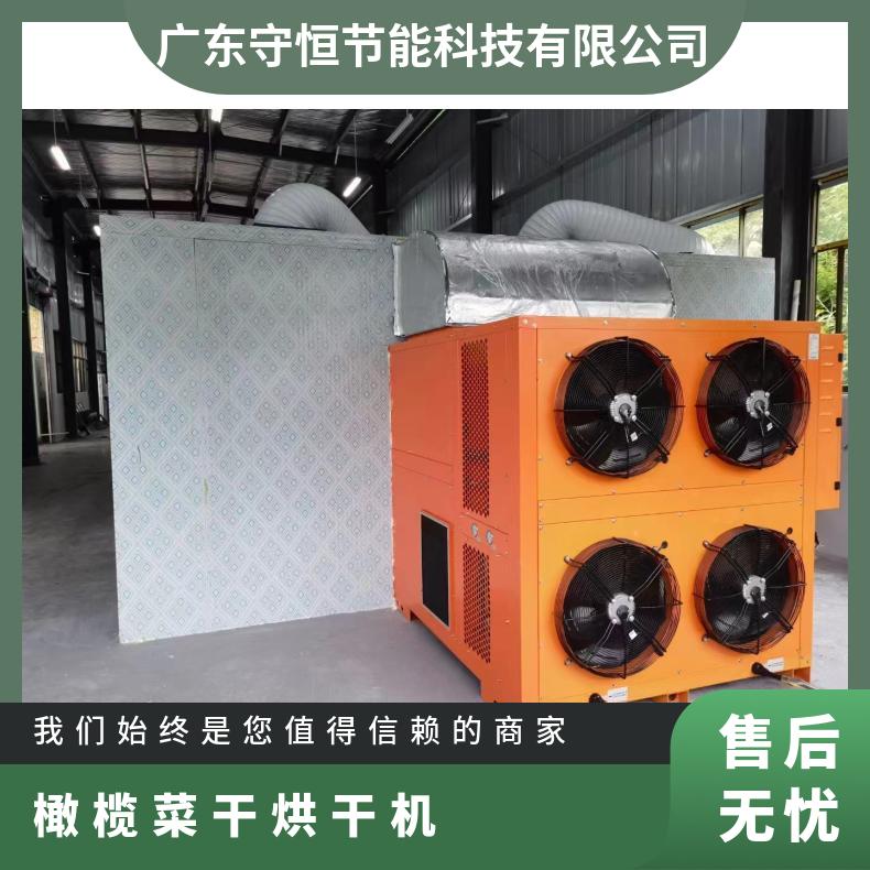 橄榄菜干烘干机 食品类全自动蔬菜除湿干燥设备 智能控温