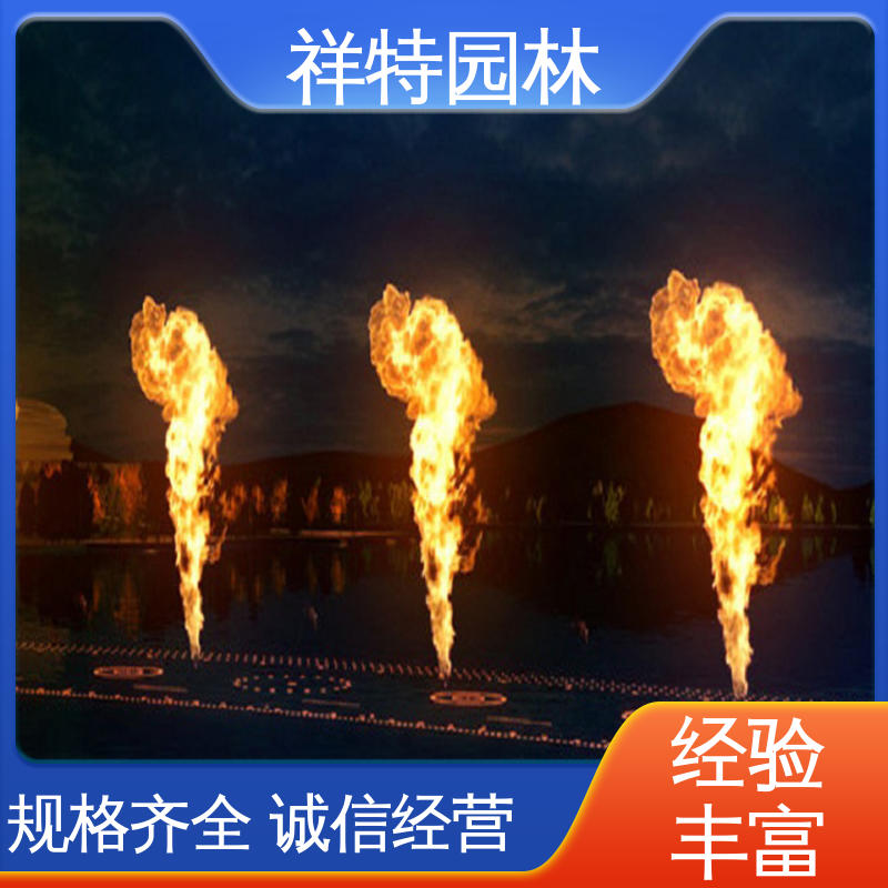 祥特园林 喷射方式独特 文旅夜游音乐喷泉 七彩灯光排列 运行平稳