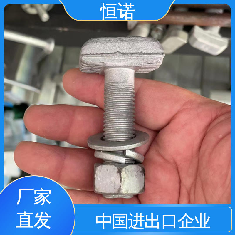 恒诺 坚固耐用 发货及时 支持异形件定制 幕墙T型螺栓