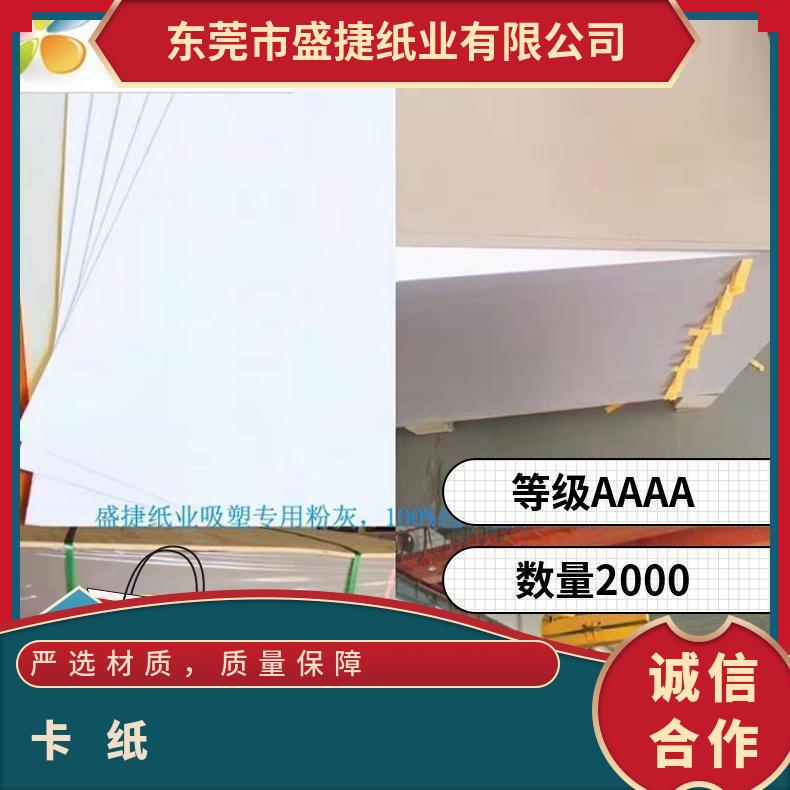 双面涂布白板纸 工厂250G-500G 玖龙牌白底纸300450G