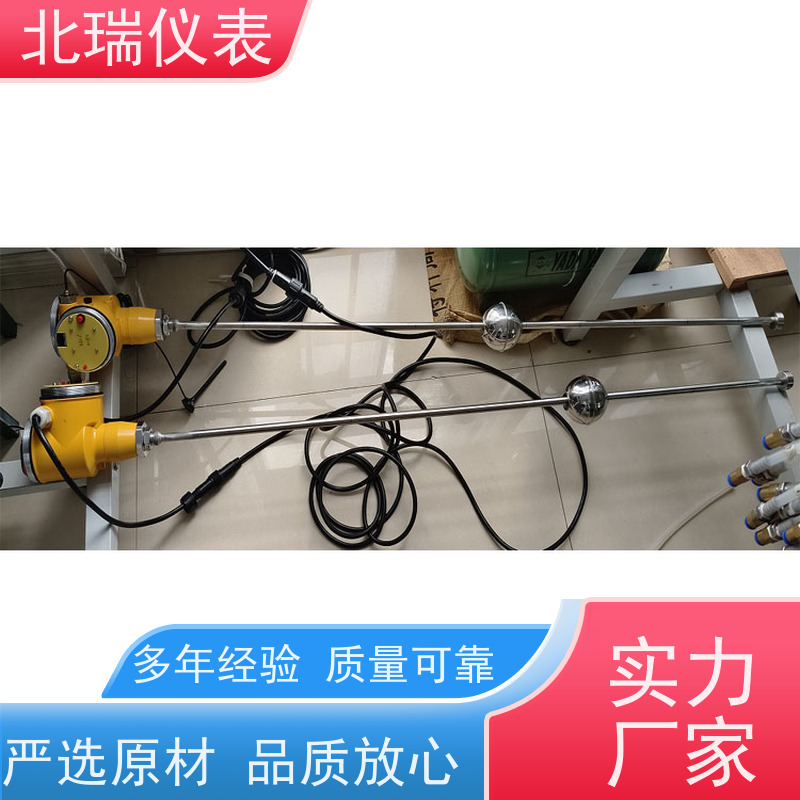 北瑞仪表 一体式磁致伸缩水位计 防爆防腐 性能稳定 严选原材 品质放心