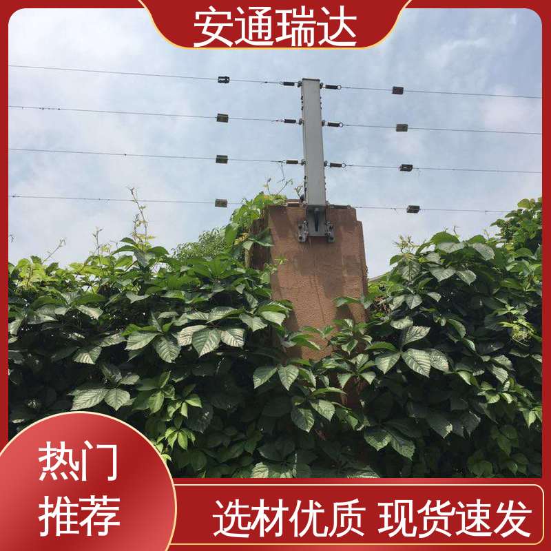 正品安通瑞达 无忧享质保 化工园区围墙 工厂货源 单脉冲电子围栏主机