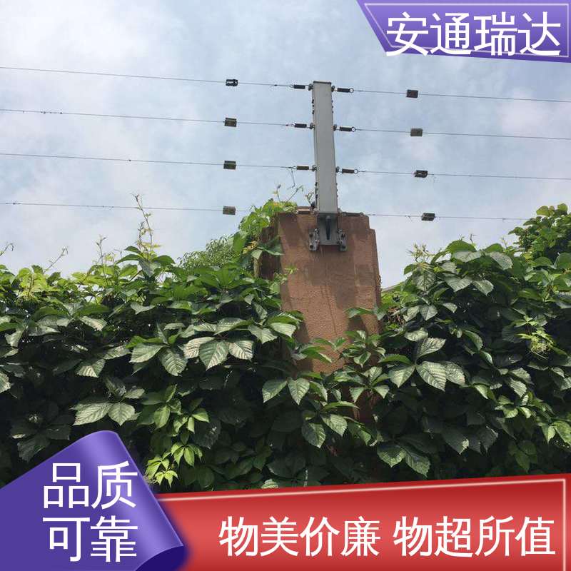安通瑞达生产 油站燃气站用 终生享质保 单脉冲电子围栏主机 厂家直发