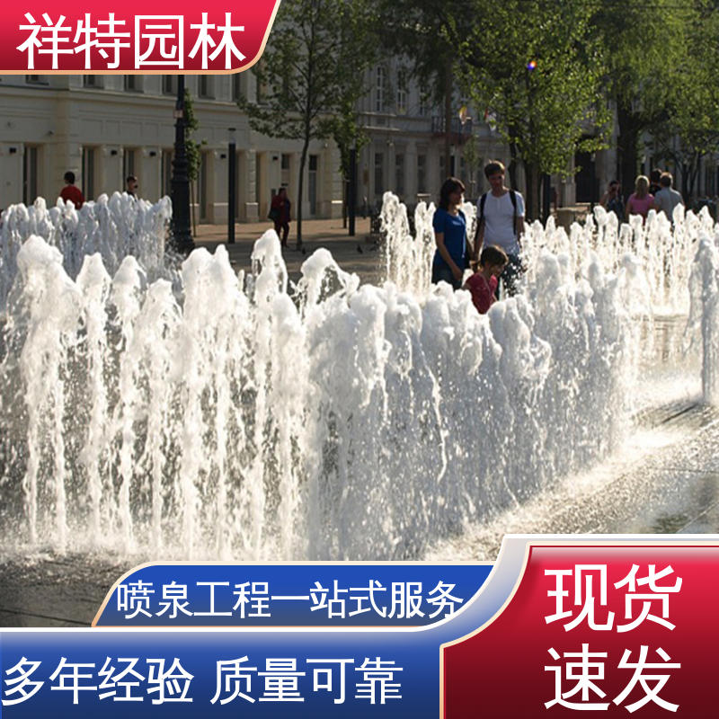 祥特园林 七彩灯光排列 维护方便 景区喷泉设计 球形喷嘴