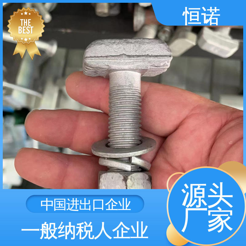 图纸定做 抗拉耐腐蚀 生产厂家 哈芬槽道不锈钢T型螺栓 恒诺