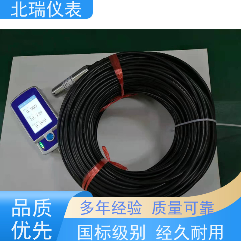 北瑞仪表 厂家供应 售后无忧 一体化结构 小型化