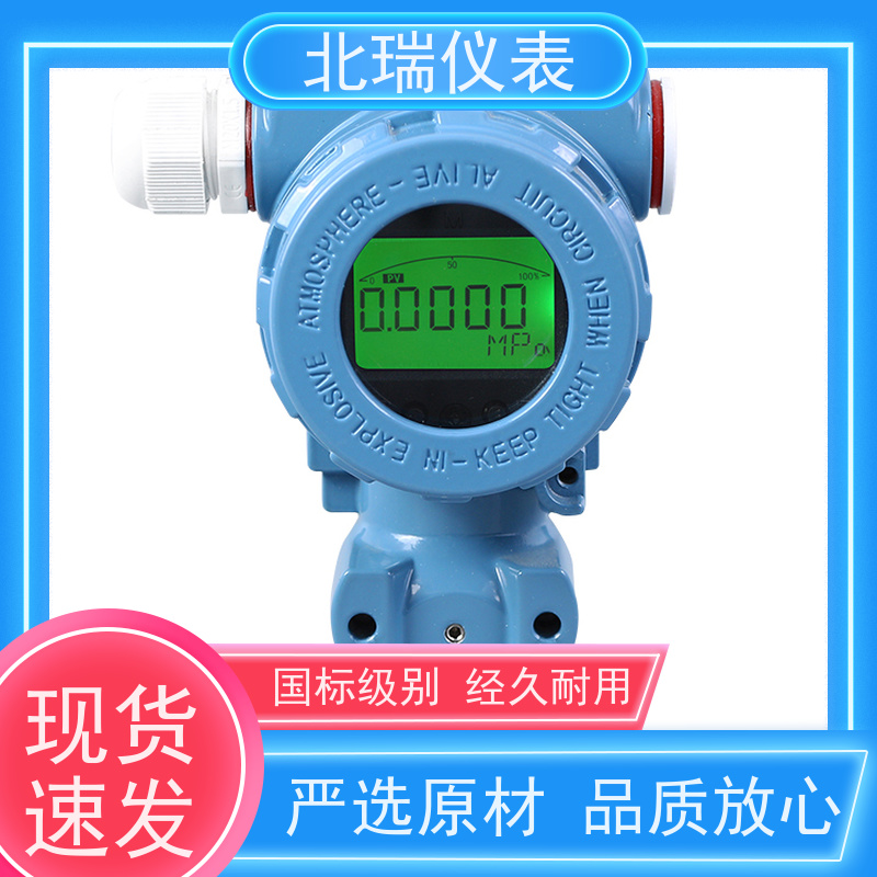北瑞仪表 防水型 精度等级高 厂家供应 售后无忧