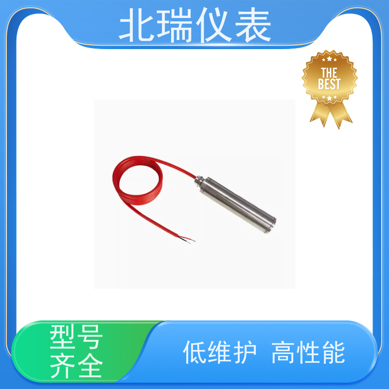 北瑞仪表 RS485输出渗压计 孔隙?压?计 灵敏度? 多规格可选 库存充足