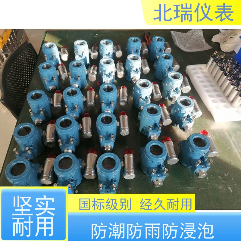 北瑞仪表 体积小 重量轻 安装维护方便 严选原材 品质放心