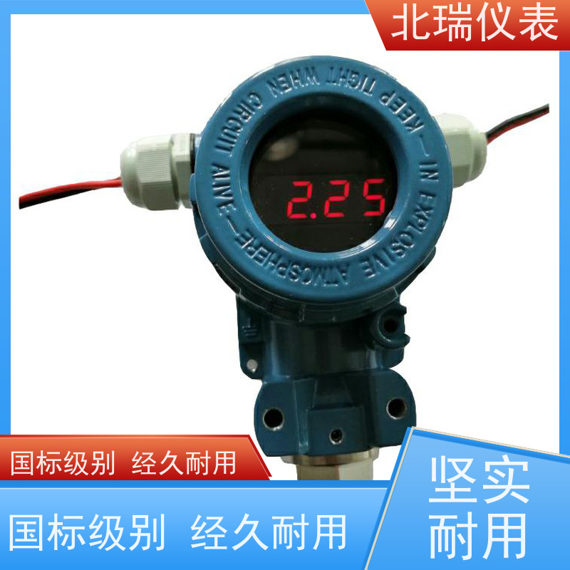 北瑞仪表 防爆罐旁显示仪 量程自定 精度高 物流配送 发货快