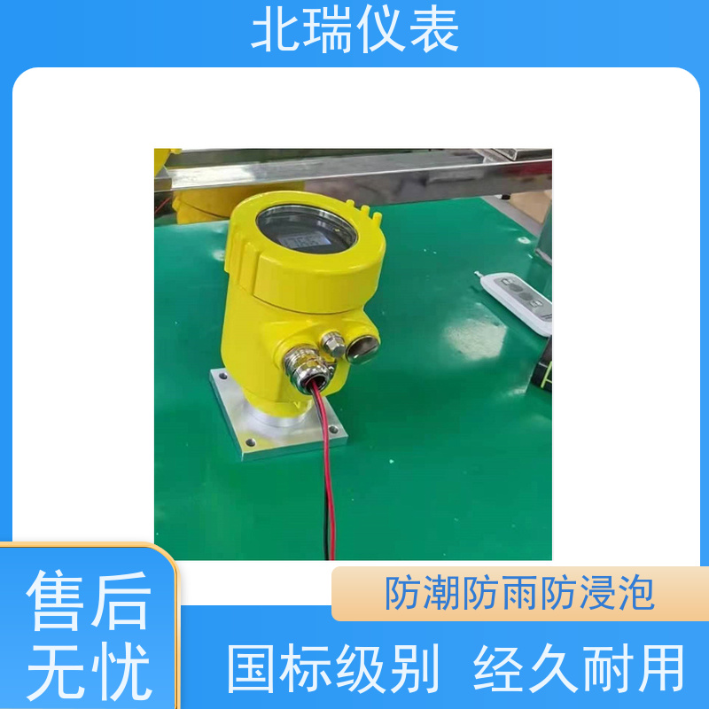 北瑞仪表 响应速度快 反应灵敏 厂家供应 售后无忧